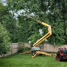 Best Storm Damage Tree Cleanup  in Milton, WI